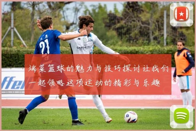 端菜篮球的魅力与技巧探讨让我们一起领略这项运动的精彩与乐趣