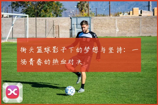 街头篮球影子下的梦想与坚持：一场青春的热血对决