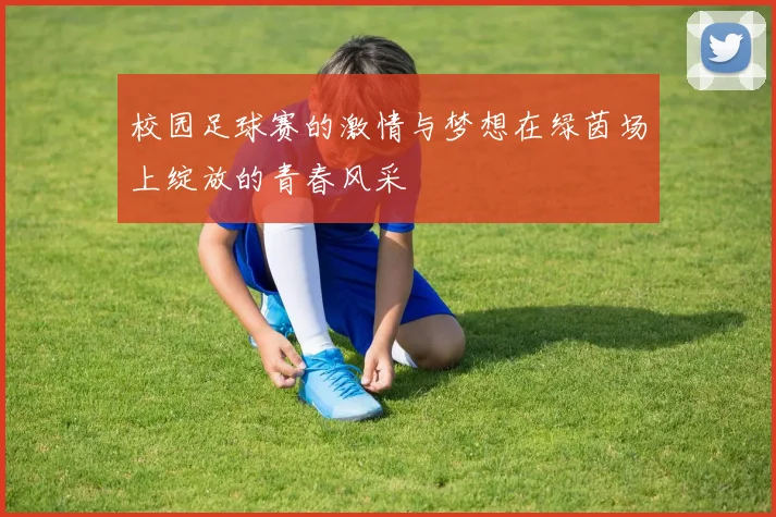校园足球赛的激情与梦想在绿茵场上绽放的青春风采