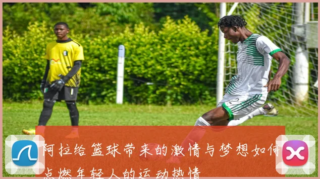 阿拉给篮球带来的激情与梦想如何点燃年轻人的运动热情