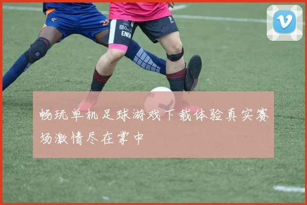 畅玩单机足球游戏下载体验真实赛场激情尽在掌中