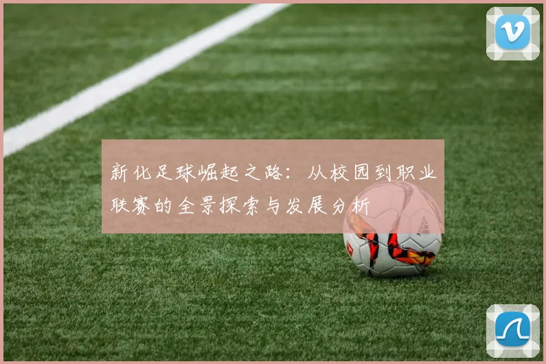 新化足球崛起之路：从校园到职业联赛的全景探索与发展分析