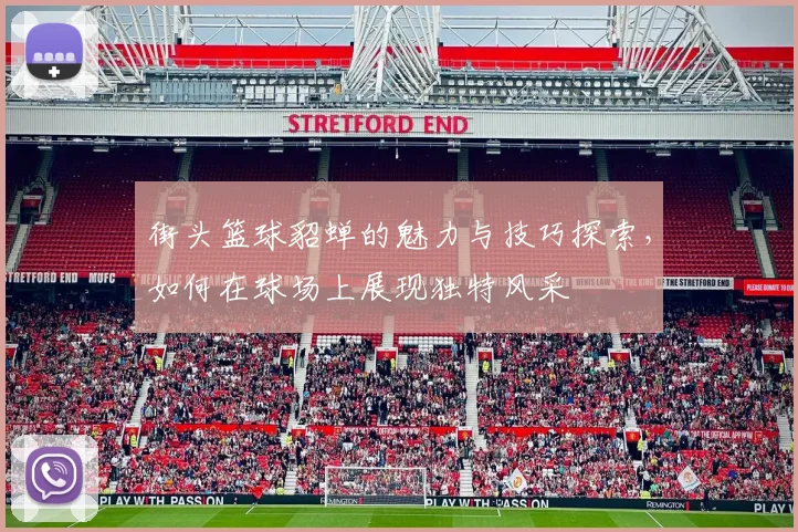 街头篮球貂蝉的魅力与技巧探索，如何在球场上展现独特风采