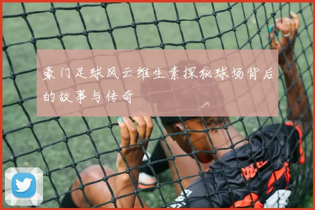 豪门足球风云维生素探秘球场背后的故事与传奇